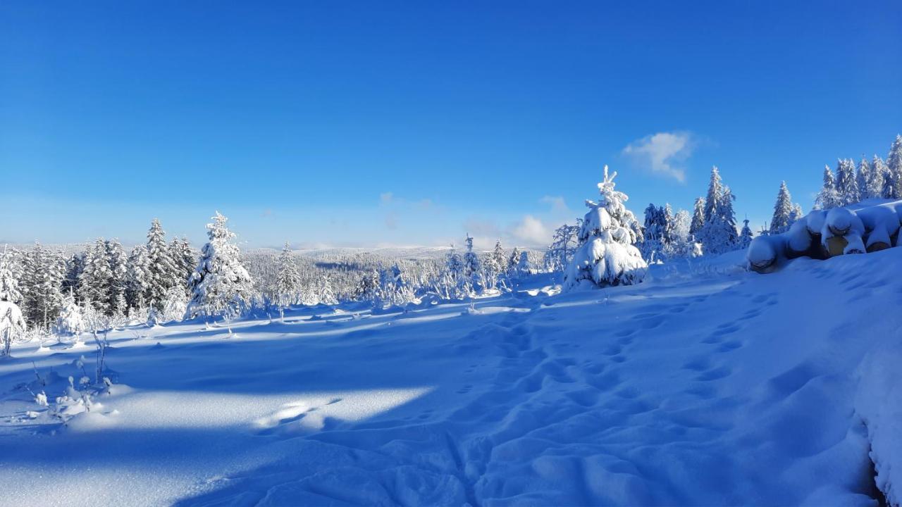 Les Dryades Жерарме Экстерьер фото