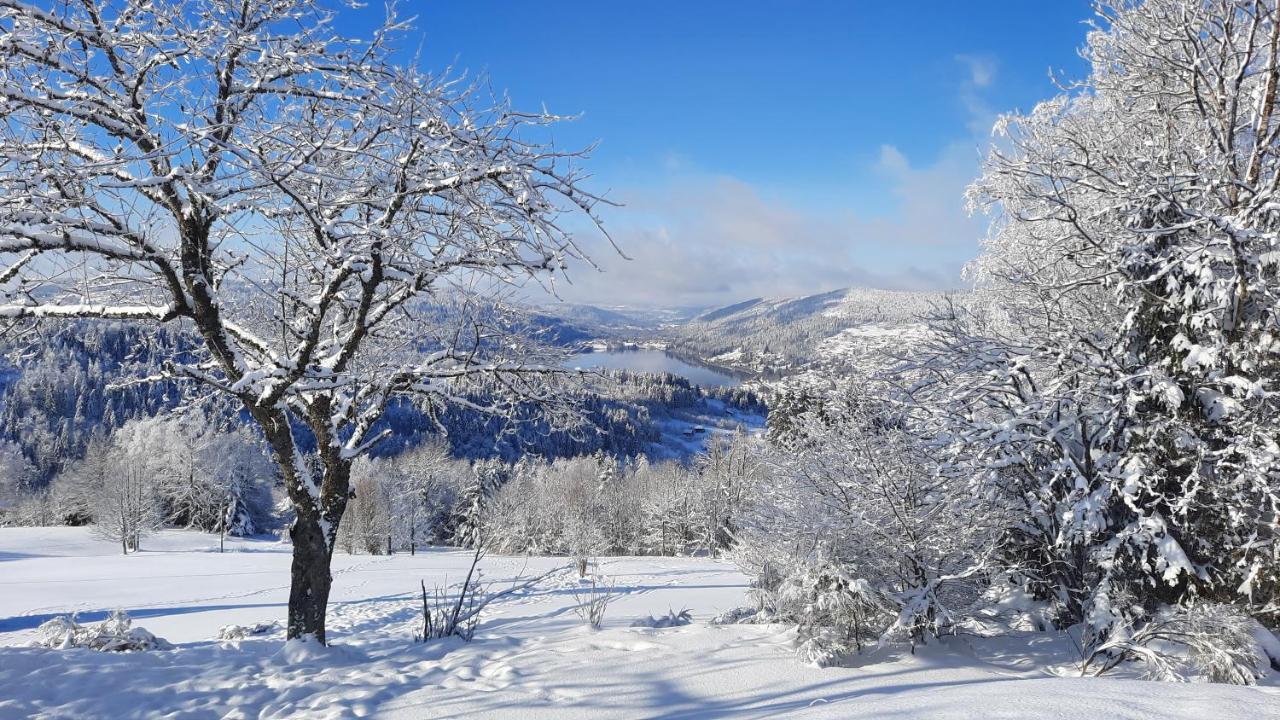 Les Dryades Жерарме Экстерьер фото