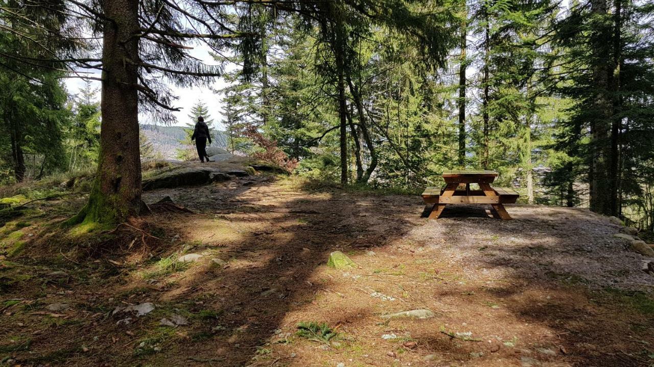 Les Dryades Жерарме Экстерьер фото