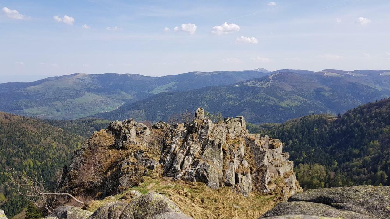 Les Dryades Жерарме Экстерьер фото